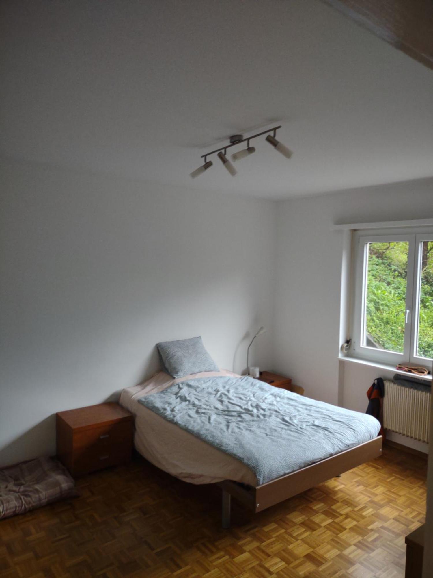 Appartamento Bellavista Lugano Massagno 外观 照片